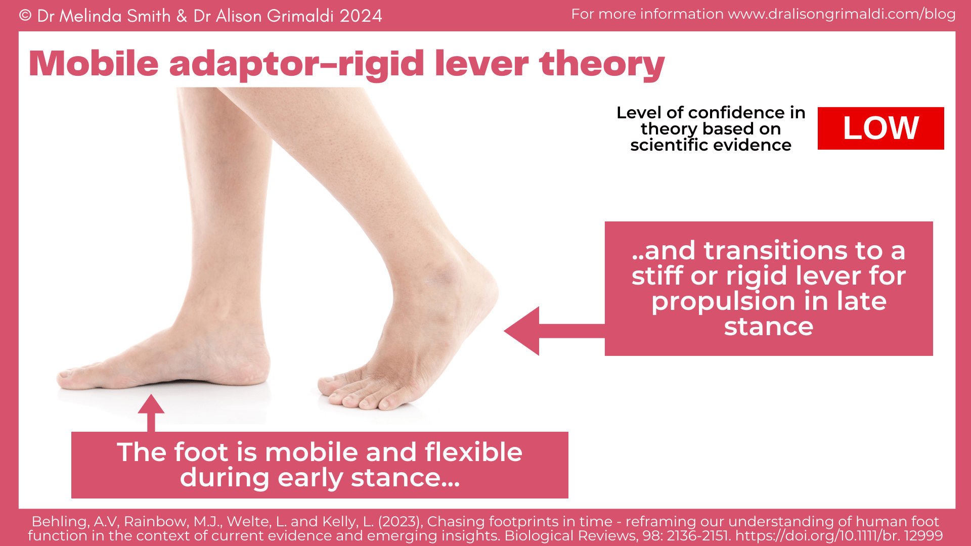 mobile-adaptor-rigid-lever-theory