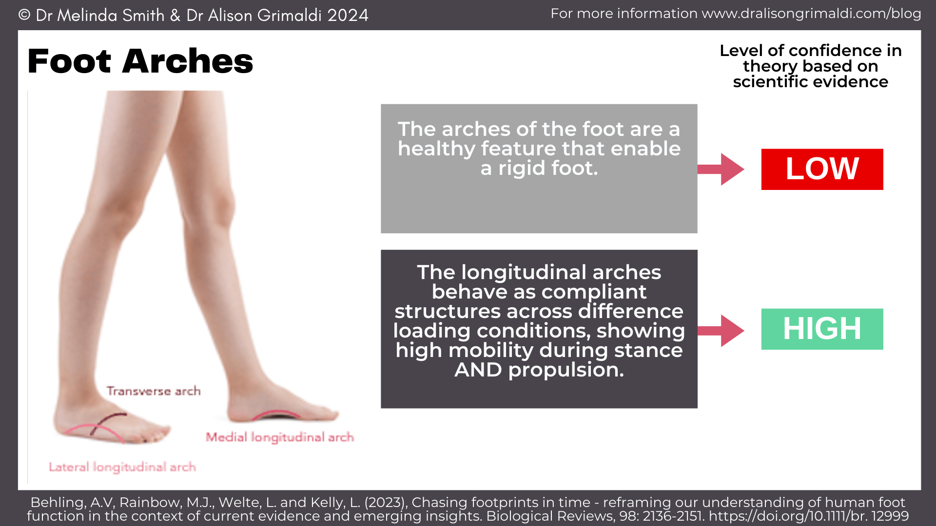 foot-arches