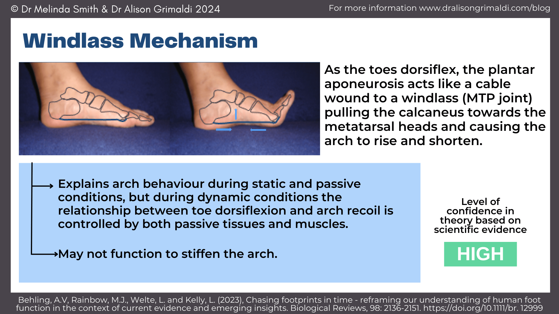 windlass-mechanism