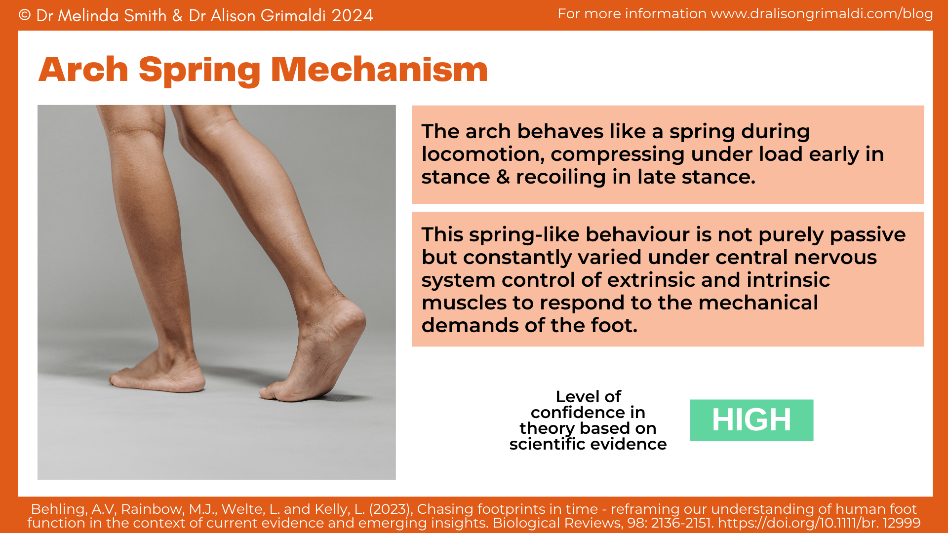 arch-spring-mechanism