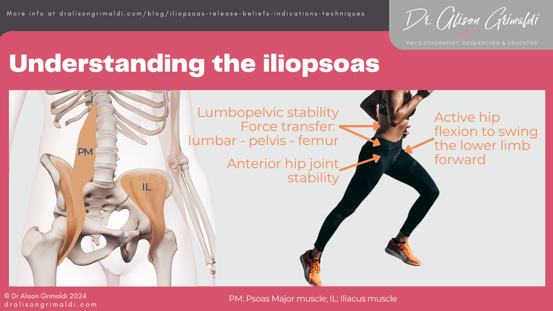 Understanding-the-iliopsoas