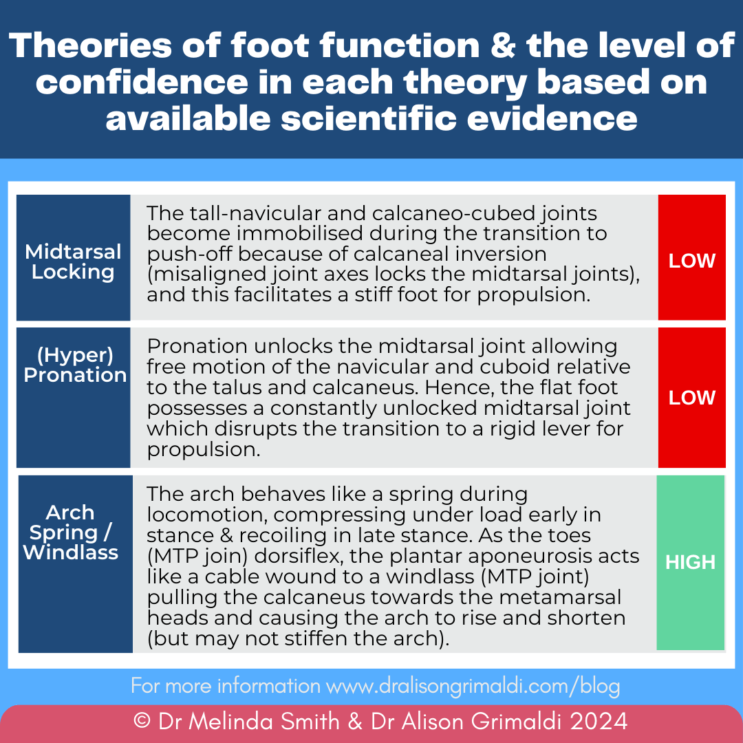 theories-of-foot-function-&-the-level-of-confidence-in-each-theory-based-on-available-scientific-evidence