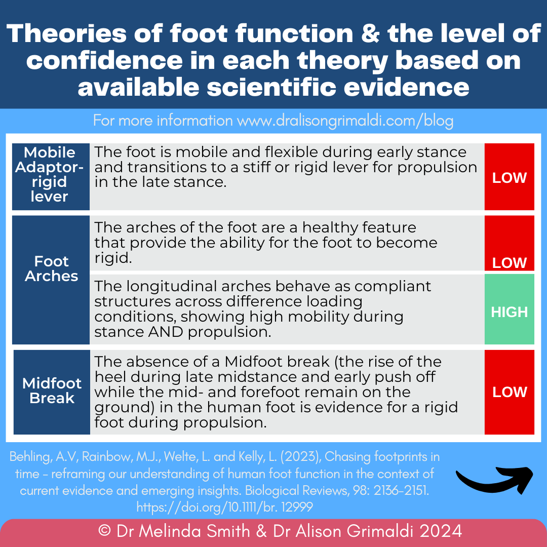 theories-of-foot-function-&-the-level-of-confidence-in-each-theory-based-on-available-scientific-evidence