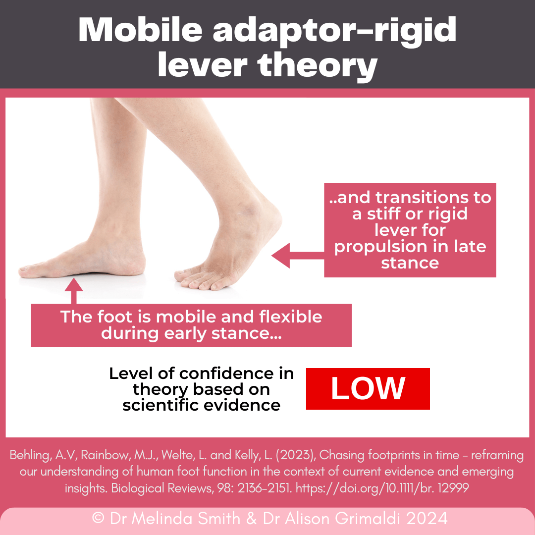 mobile-adaptor-rigid-lever-theory