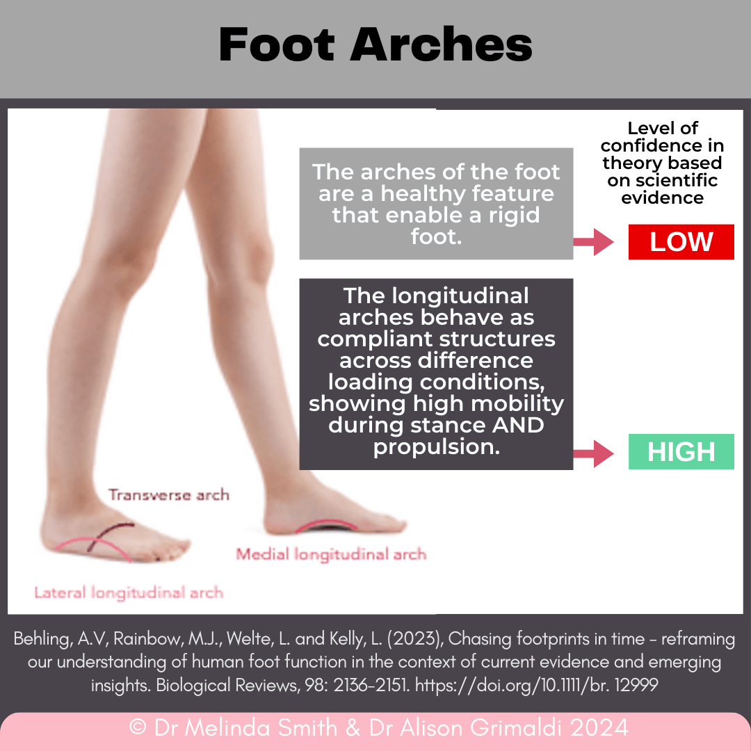 foot-arches