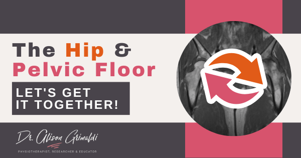 The Hip & Pelvic Floor