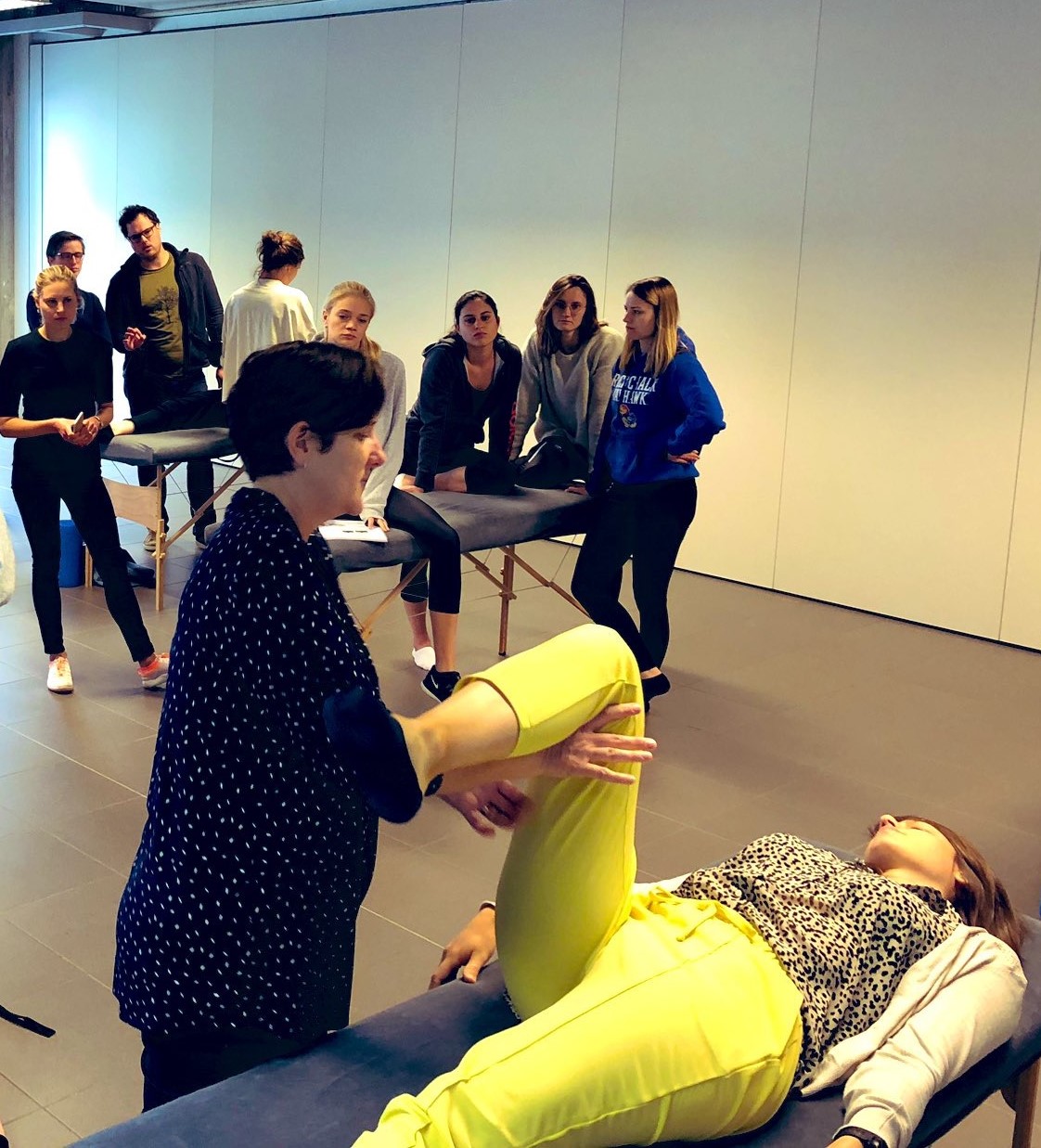 Anterior Hip Workshop Demonstration_Dr Alison Grimaldi Anterior Hip Workshop Demonstration_Dr Alison Grimaldi