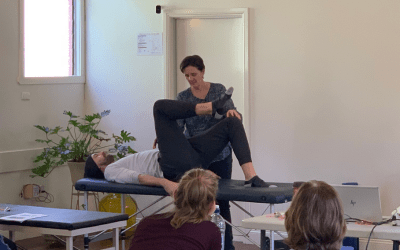 Anterior-Hip-and-Groin-Pain-Practical-Workshop (3) Anterior-Hip-and-Groin-Pain-Practical-Workshop (3)