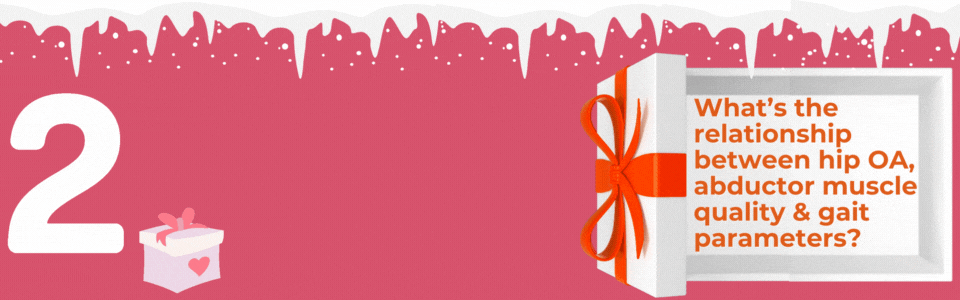BANNERS - 12 Top Hip Papers of 2023 + New YearChristmas-6 BANNERS - 12 Top Hip Papers of 2023 + New YearChristmas-6