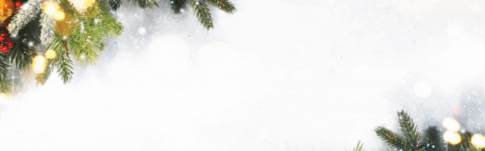 Banner for 2022 Xmas-5 Banner for 2022 Xmas-5