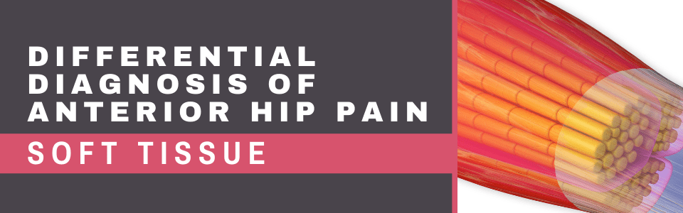 Blog Banner Differential Diagnosis of Anterior Hip Pain - 3. Soft Tissue Blog Banner Differential Diagnosis of Anterior Hip Pain - 3. Soft Tissue