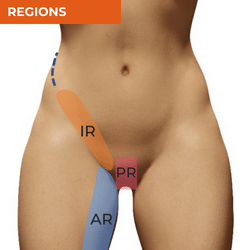 Differential Diagnosis of Hip Pain_Regions of the Groin Differential Diagnosis of Hip Pain_Regions of the Groin