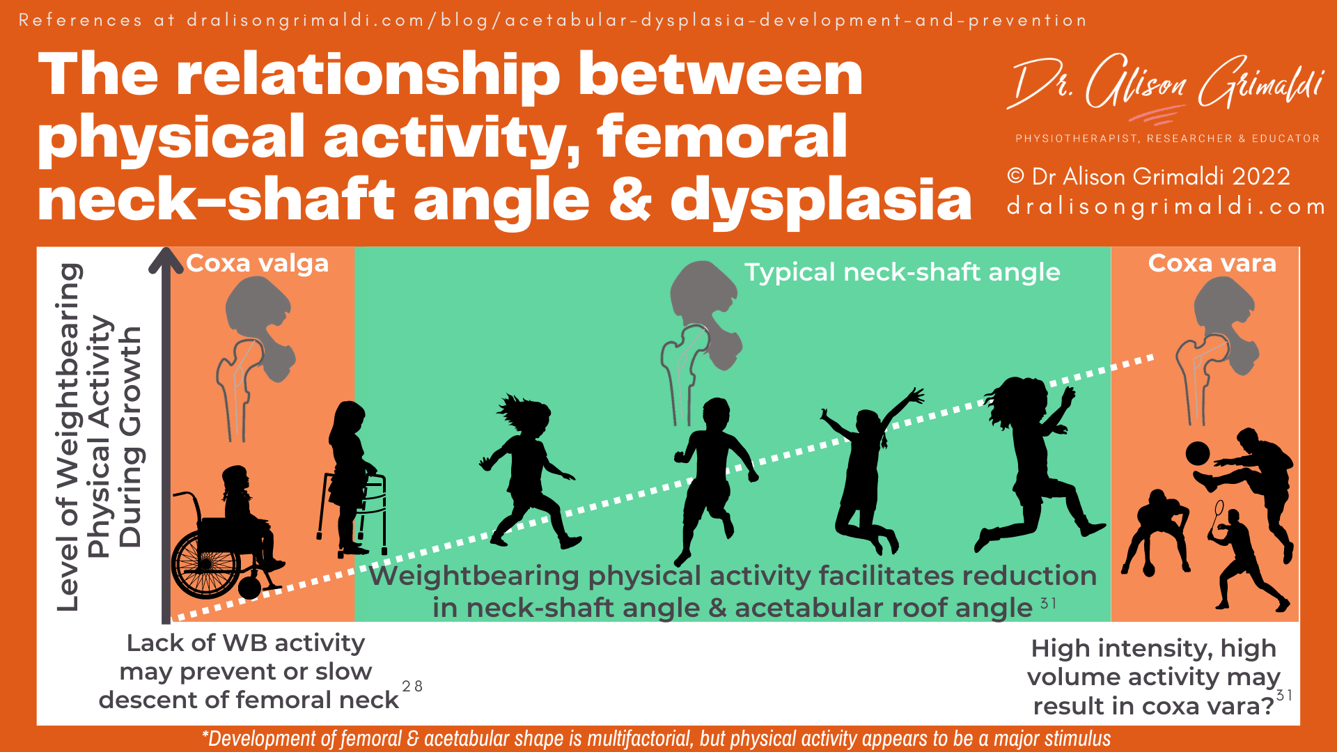 The relationship between physical activity, femoral neck-shaft angle & dysplasia The relationship between physical activity, femoral neck-shaft angle & dysplasia