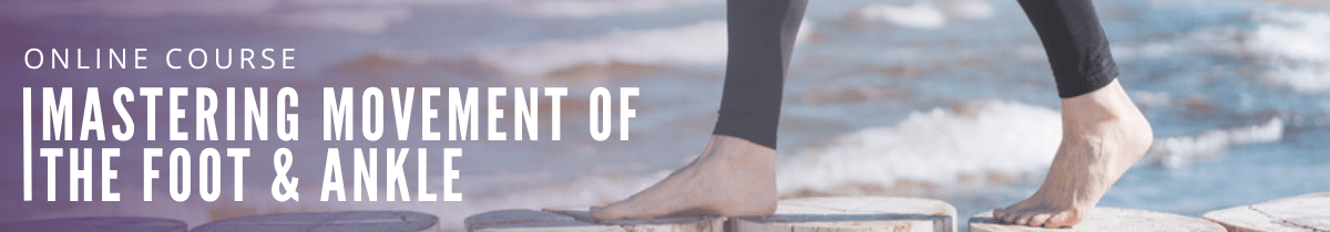 Mastering Movement of the Foot & Ankle Mastering Movement of the Foot & Ankle