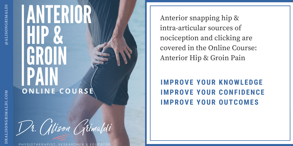 Why Anterior Hip & Groin Pain Course Things that go click in the hip - what is covered in Dr Alison Grimaldi's Anterior Hip and Groin Pain Course