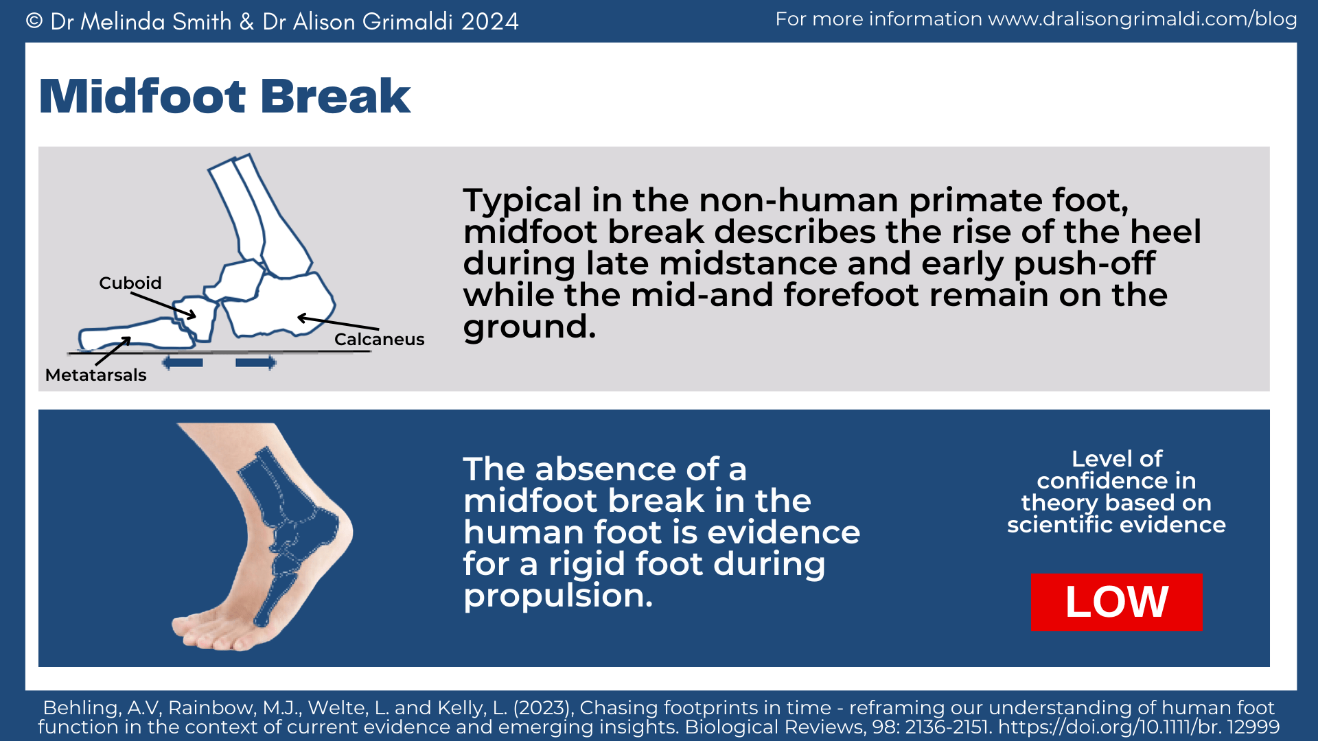 midfoot-break midfoot-break