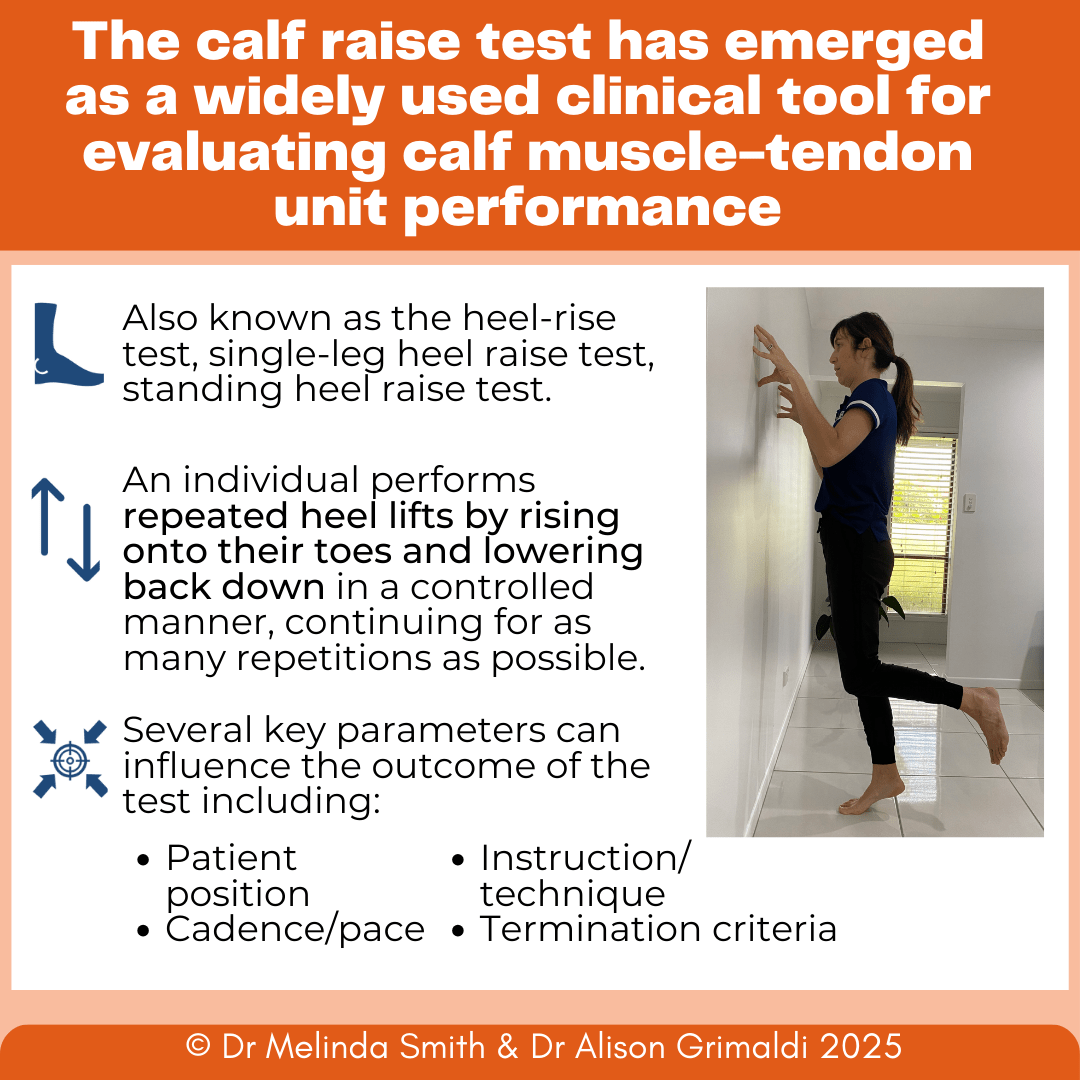 the-calf-raise-test-has-emerged-as-a-widely-used-clinical-tool-for-evaluating-calf-muscle-tendon-unit-performance the-calf-raise-test-has-emerged-as-a-widely-used-clinical-tool-for-evaluating-calf-muscle-tendon-unit-performance