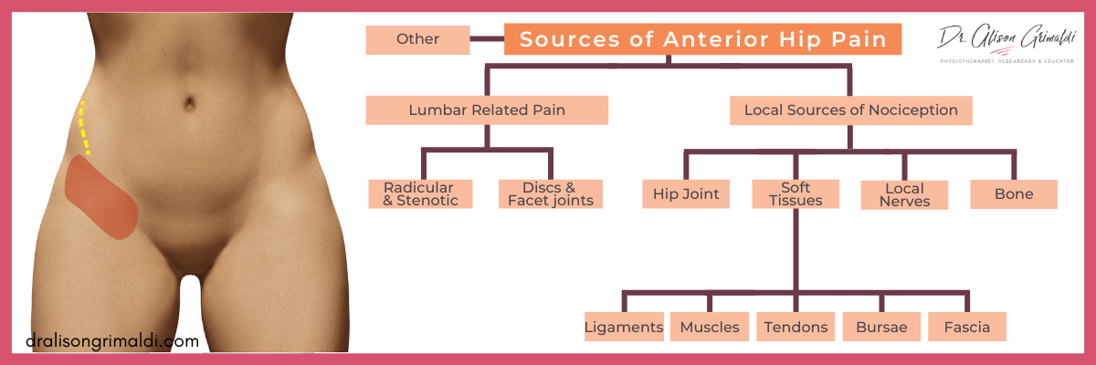 Blog Graphic - Sources of Anterior Hip Pain Blog Graphic - Sources of Anterior Hip P
