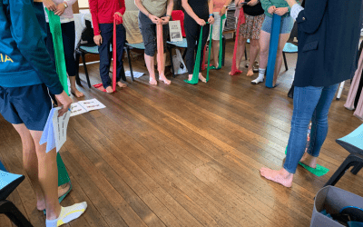 foot-and-anke-function