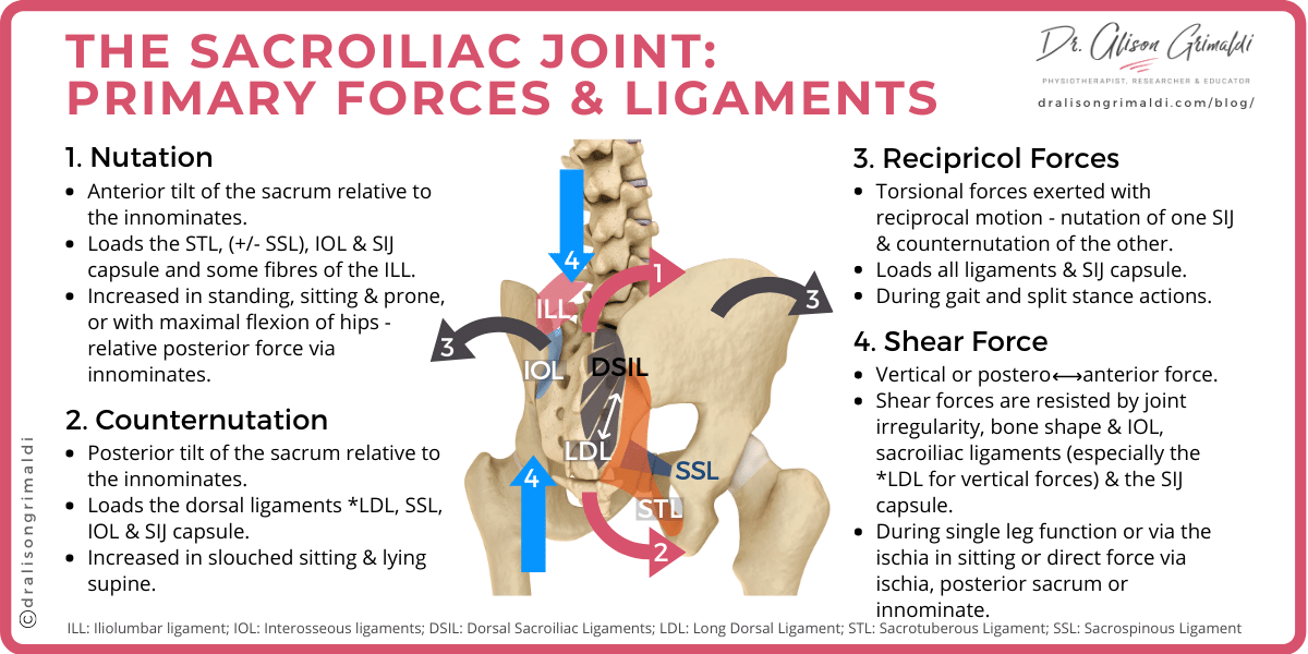 Sacroiliac Joint - Forces and Ligaments Infographic Sacroiliac Joint - Forces and Ligaments Infographic