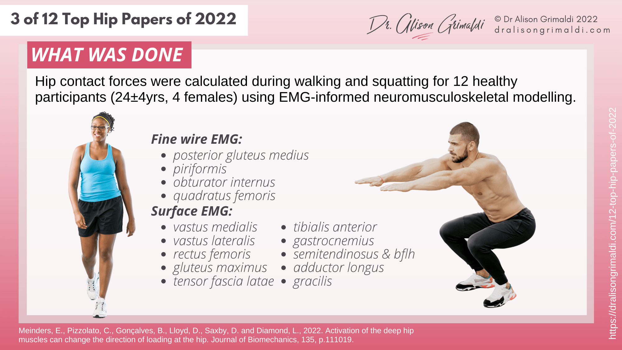 What Was Done - 3 of 12 - deep hip muscles and hip joint loads What Was Done - 3 of 12 - deep hip muscles and hip joint loads