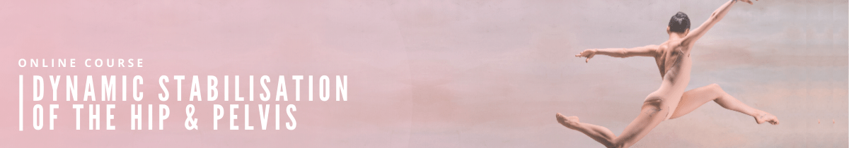 Dynamic Stabilisation of the Hip & Pelvis