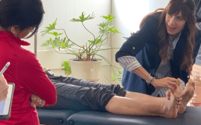 foot-and-anke-function