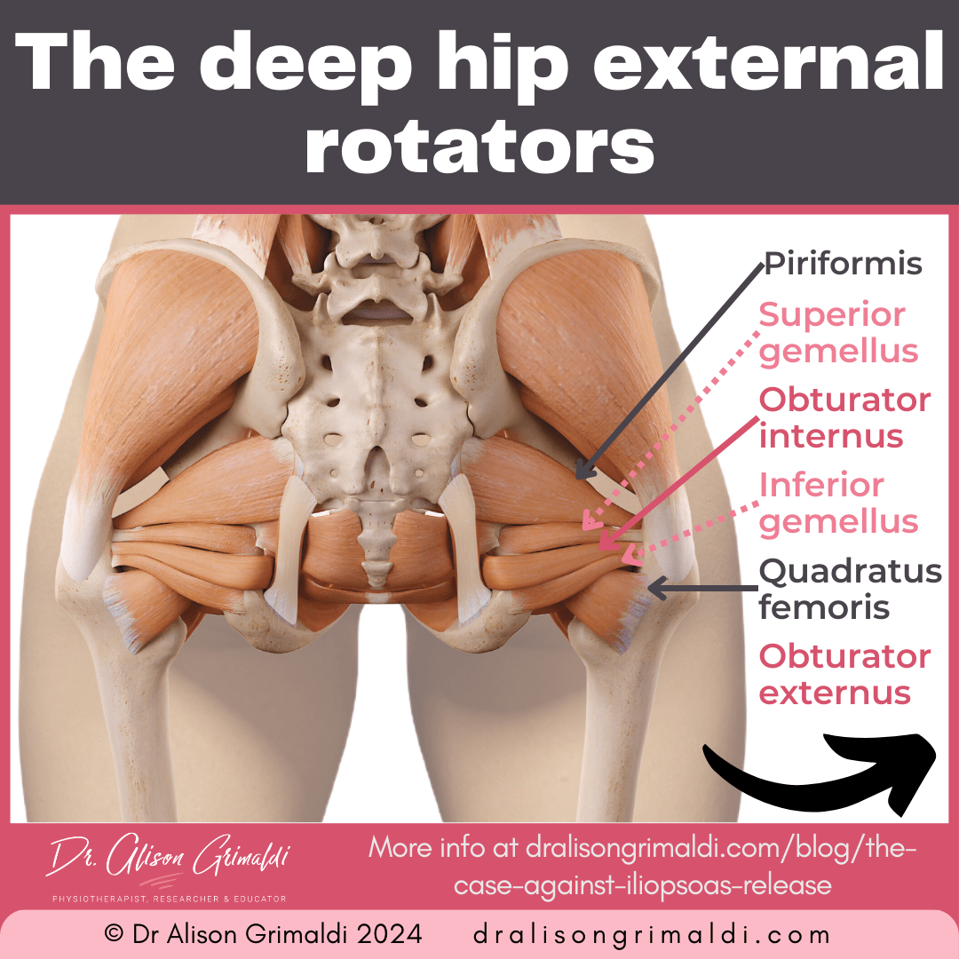ischiofemoral-impingement