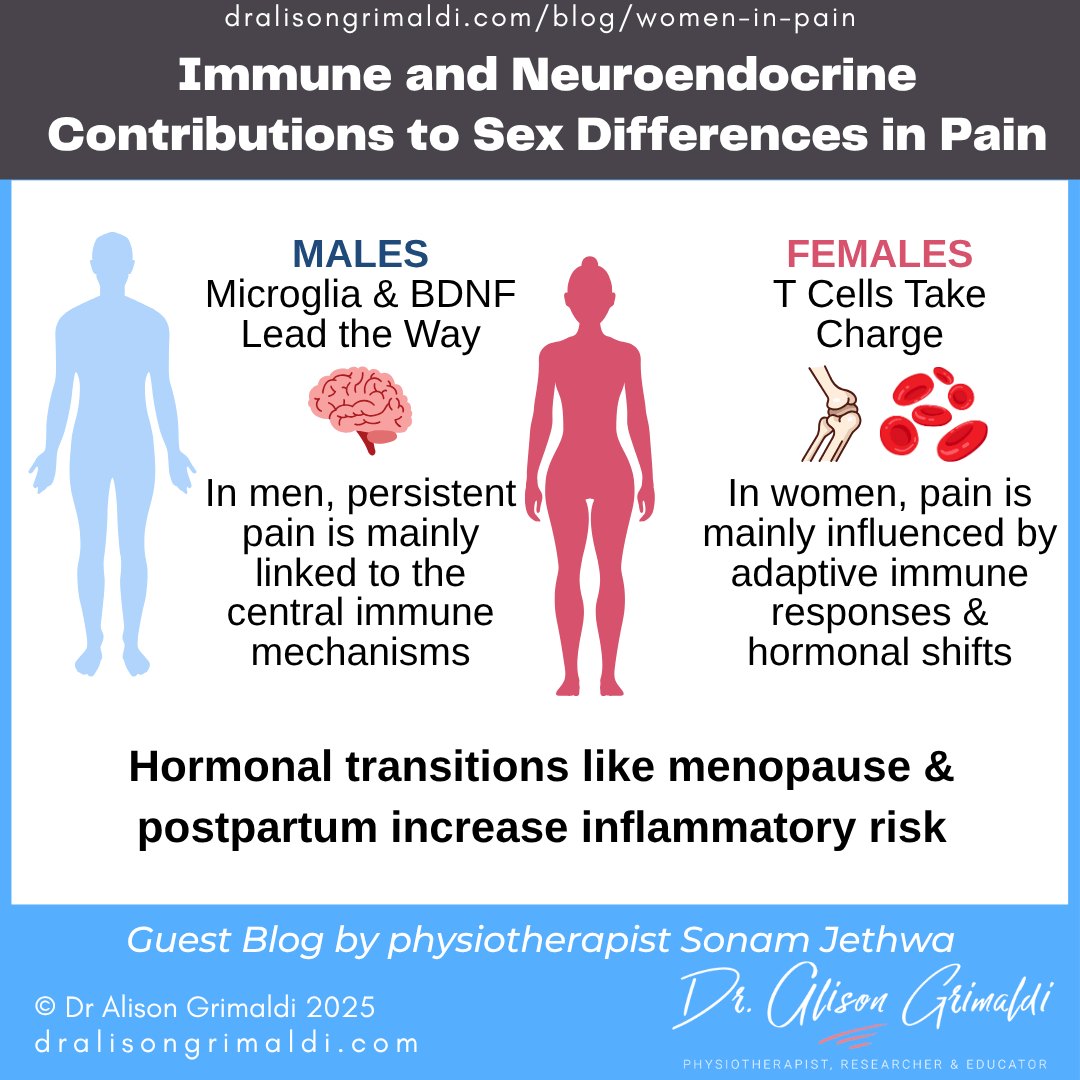 immune-and-neuroendocrine-contributions-to-sex-differences-in-pain