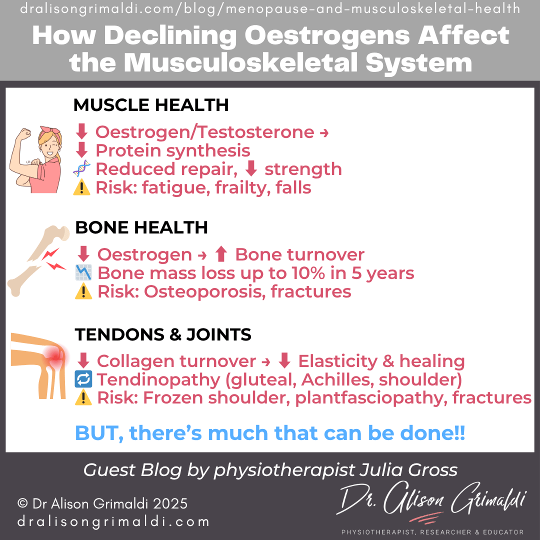 how-declining-oestrogens-affect-the-musculoskeletal-system how-declining-oestrogens-affect-the-musculoskeletal-system