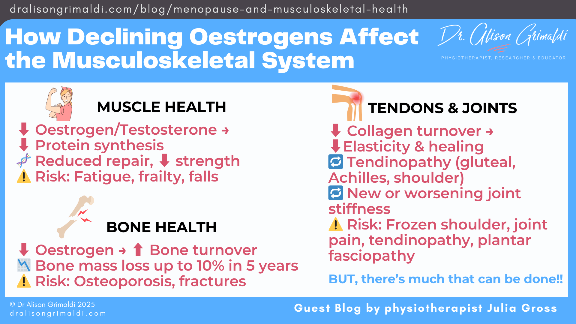 how-declining-oestrogens-affect-the-musculoskeletal-system how-declining-oestrogens-affect-the-musculoskeletal-system