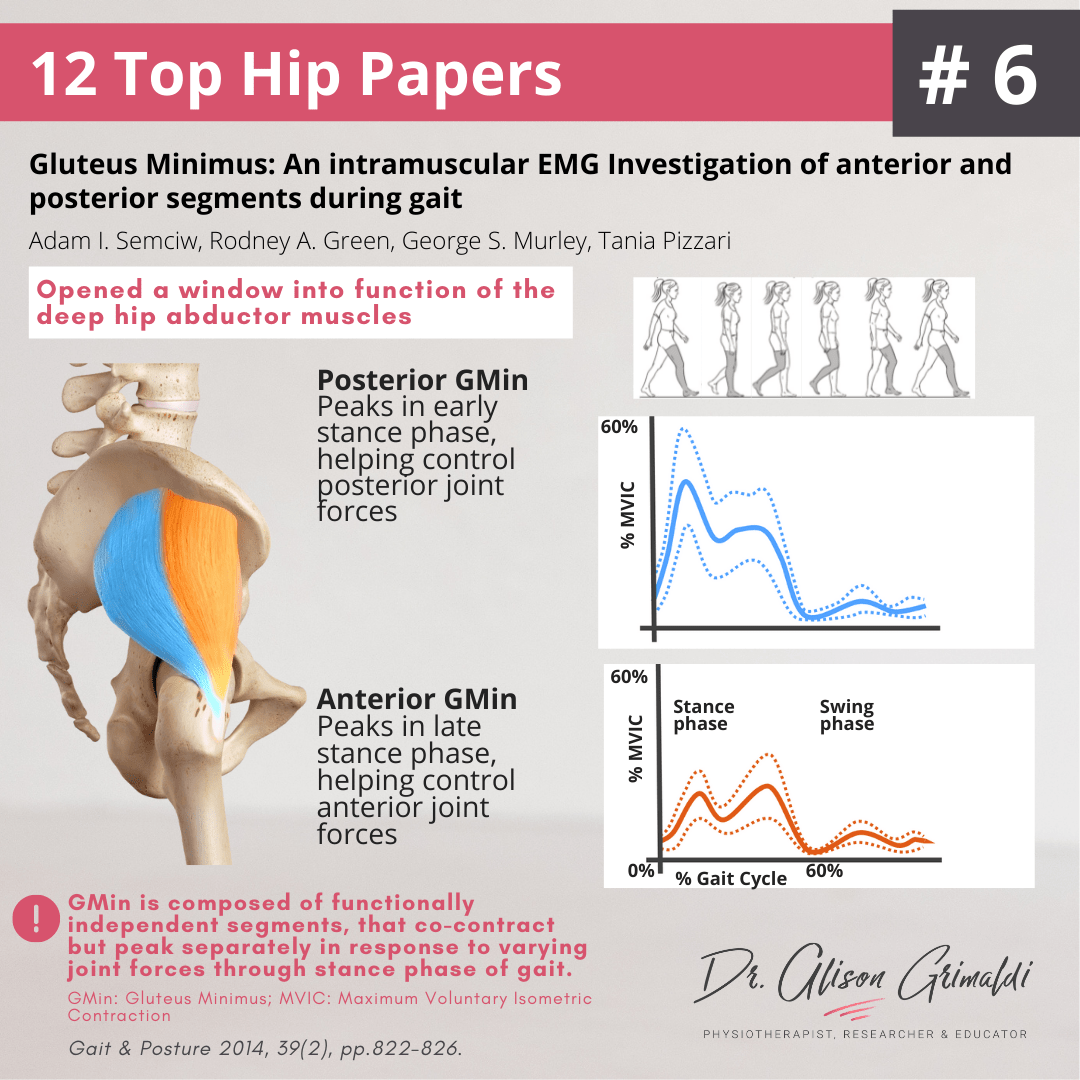 12 HIP days of Christmas 2021_Infographic Day 6 Infographic_understanding gluteus minimus function