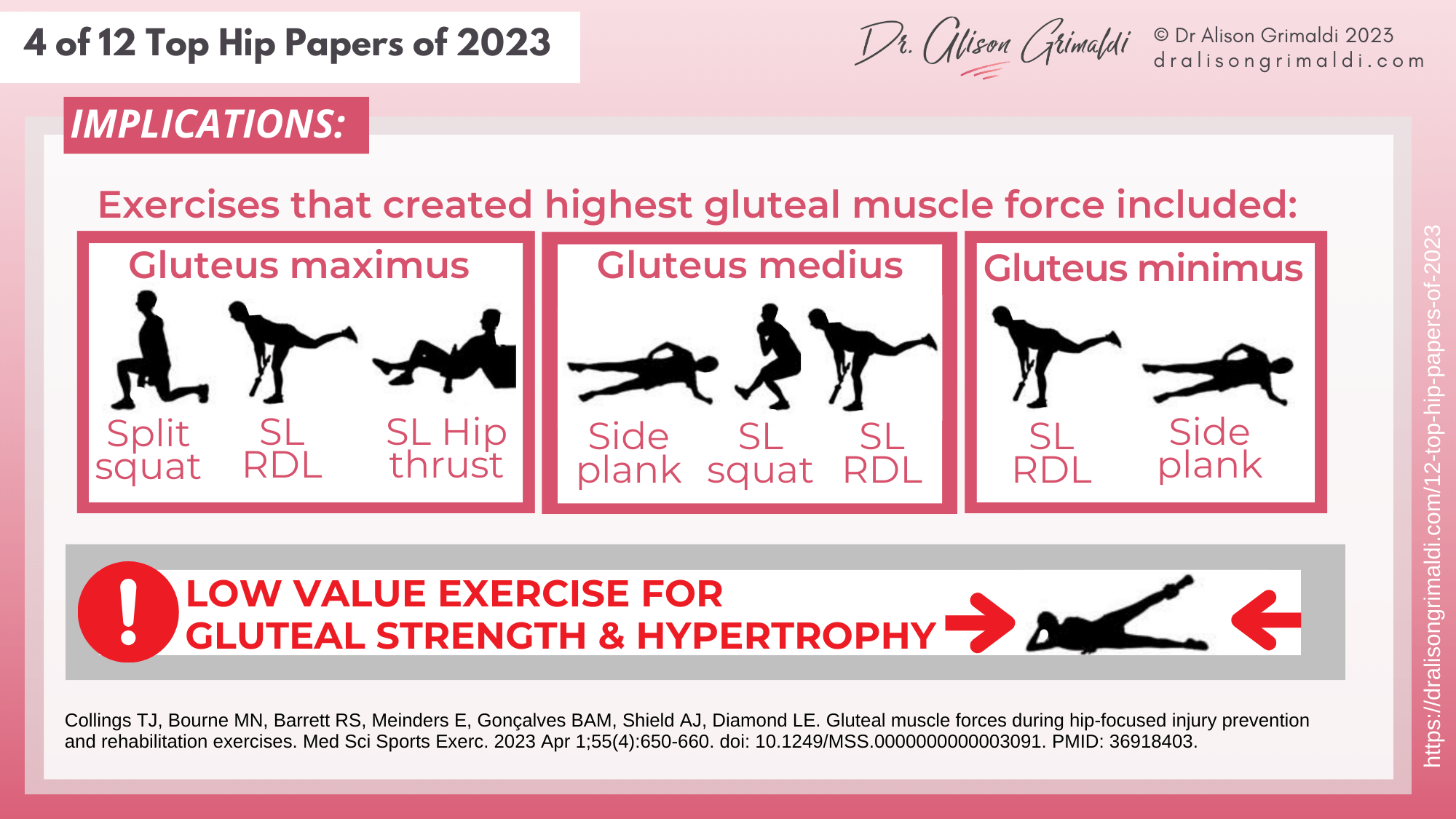 gluteal-muscle-force-exercises gluteal-muscle-force-exercises