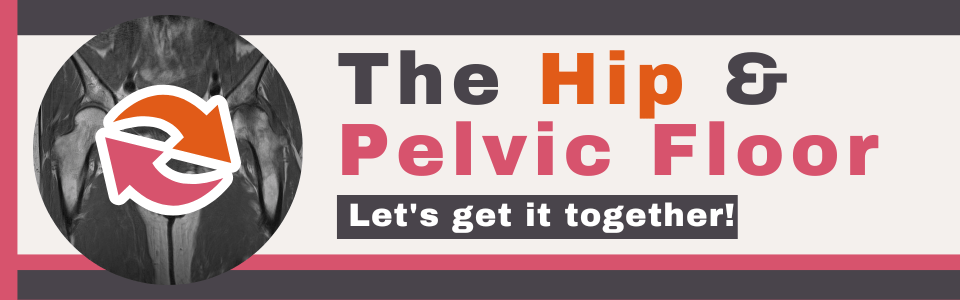 The Hip & Pelvic Floor Blog Picture of a pelvis with arrows describing the inter-relationships between the hip and pelvis