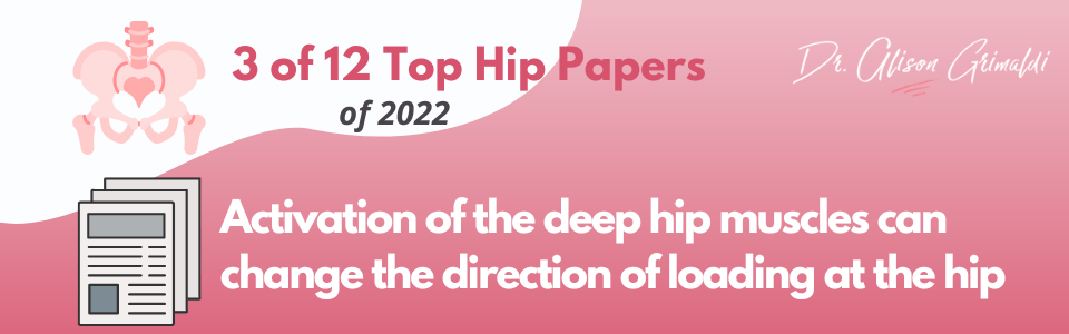 Banner Graphic 2 - 3 of 12 - deep hip muscles and hip joint loads Banner Graphic 2 - 3 of 12 - deep hip muscles and hip joint loads