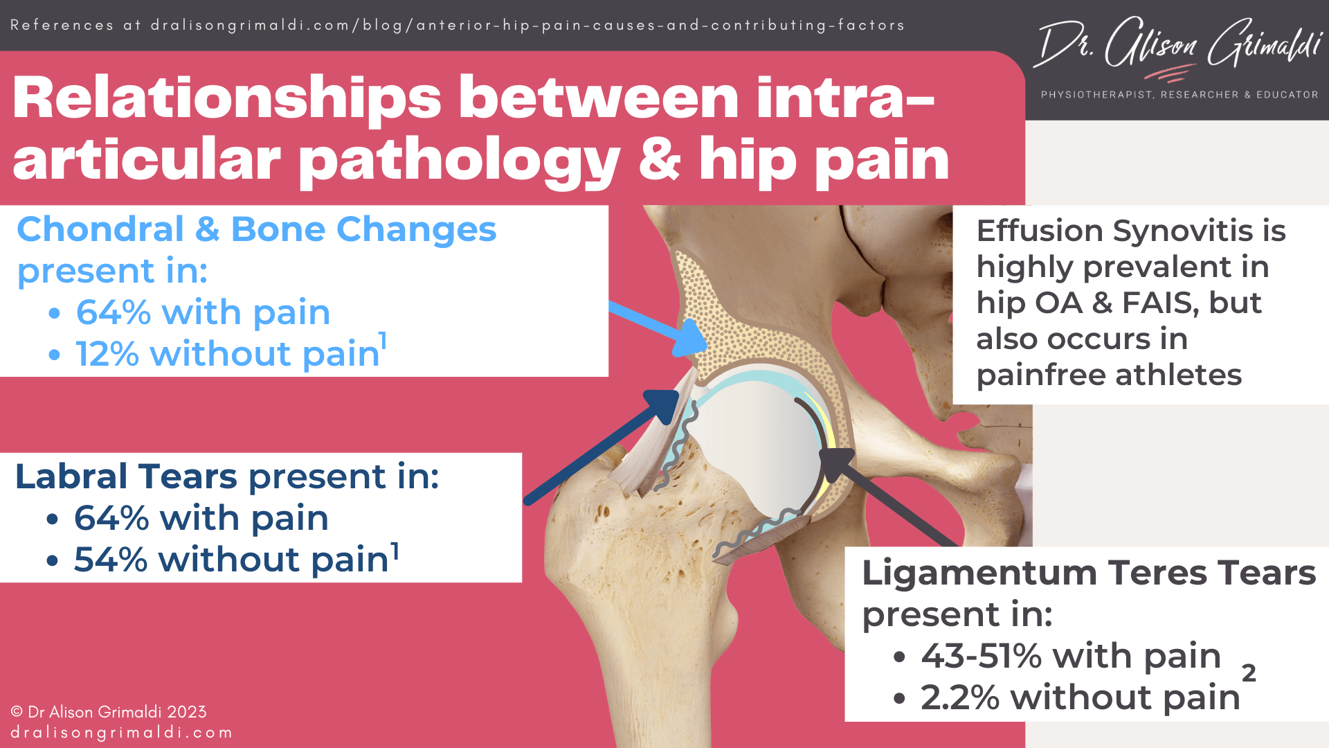 Relationships-between-intra-articular-pathology-&-hip-pain Relationships-between-intra-articular-pathology-&-hip-pain