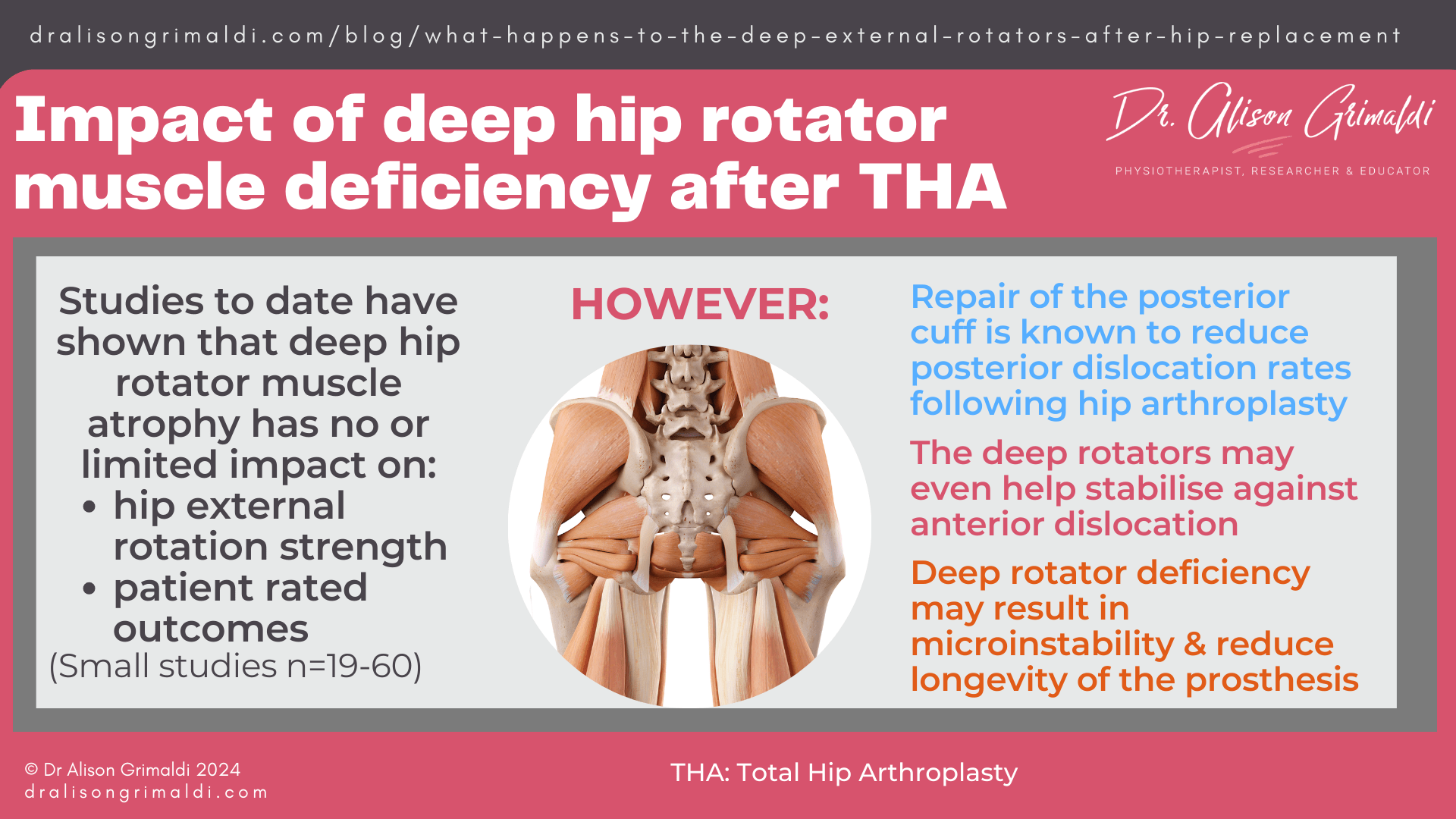 impact-of-deep-hip-rotator-muscle-deficiency-after-THA impact-of-deep-hip-rotator-muscle-deficiency-after-THA