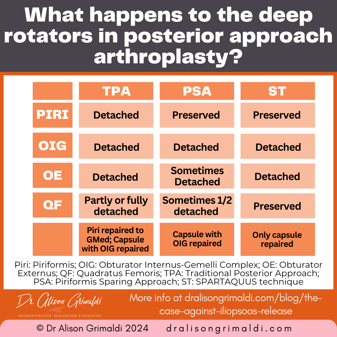 what-happens-to-the-deep-rotators-in-posterior-approach-arthroplasty what-happens-to-the-deep-rotators-in-posterior-approach-arthroplasty