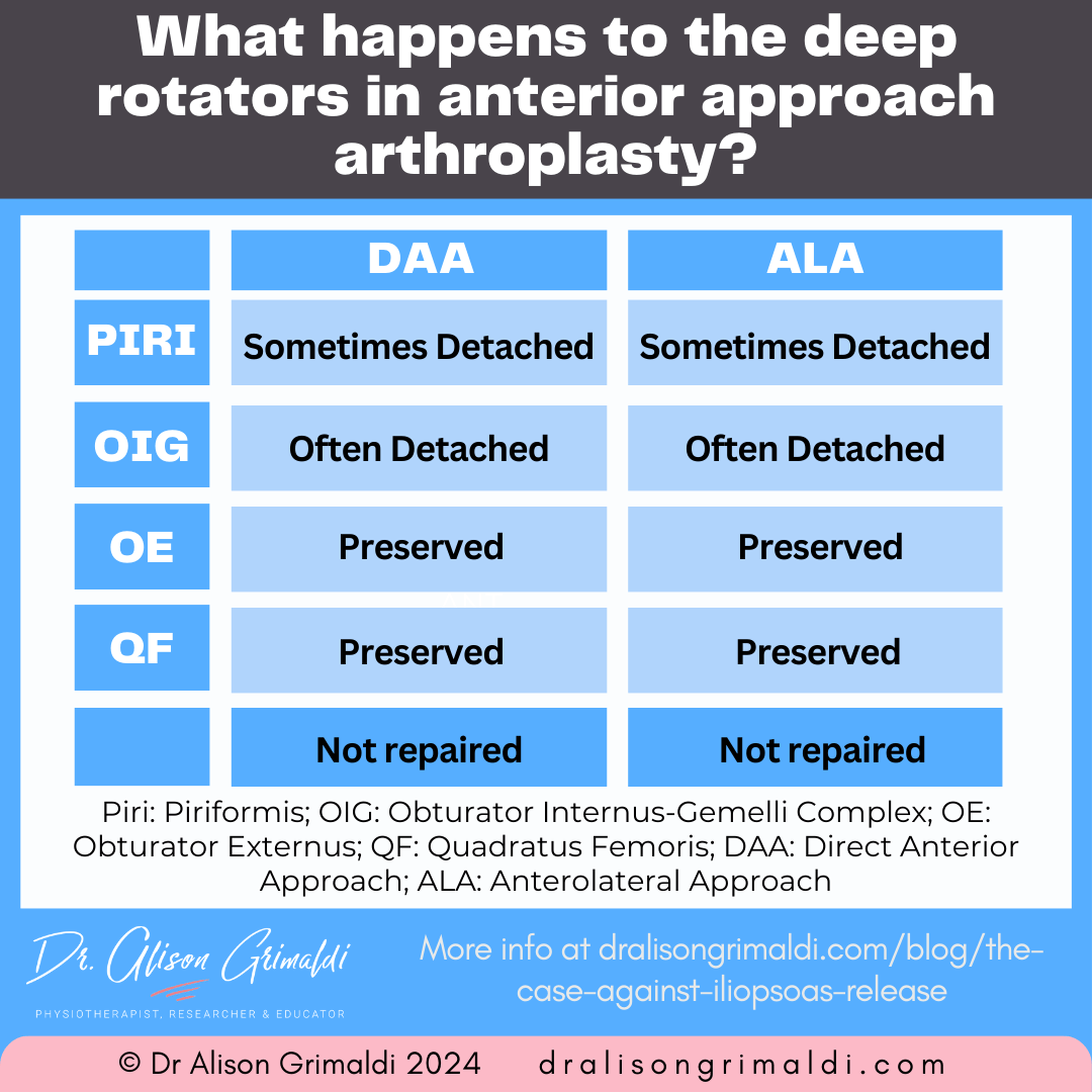 what-happens-to-the-deep-rotators-in-anterior-approach-arthroplasty what-happens-to-the-deep-rotators-in-anterior-approach-arthroplasty