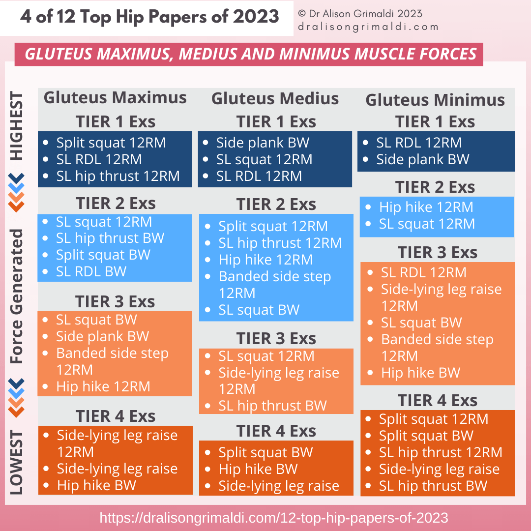 gluteus-maximus-medius-and-minimus-muscle-forces gluteus-maximus-medius-and-minimus-muscle-forces