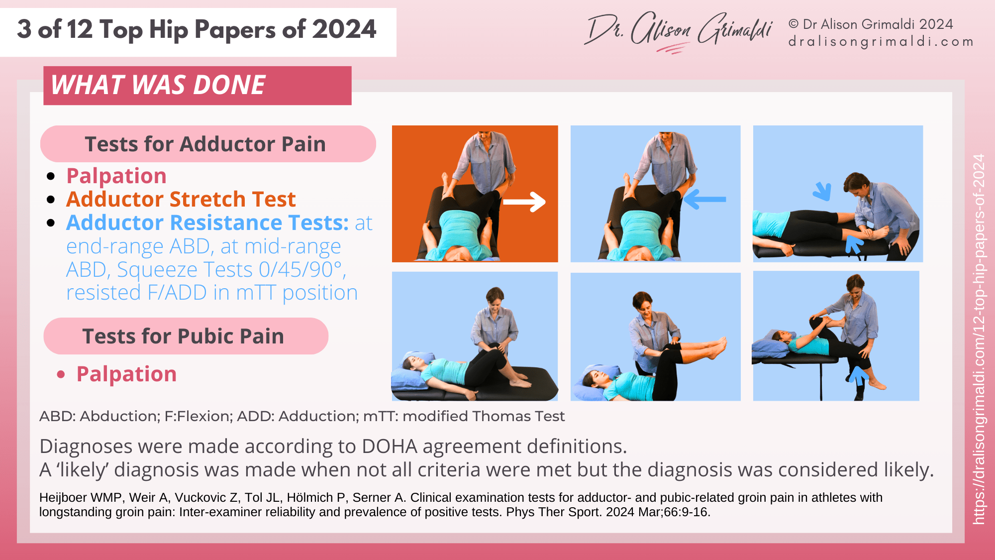 3-of-12-Top-Hip-Papers of-2024-what-was-done 3-of-12-Top-Hip-Papers of-2024-what-was-done