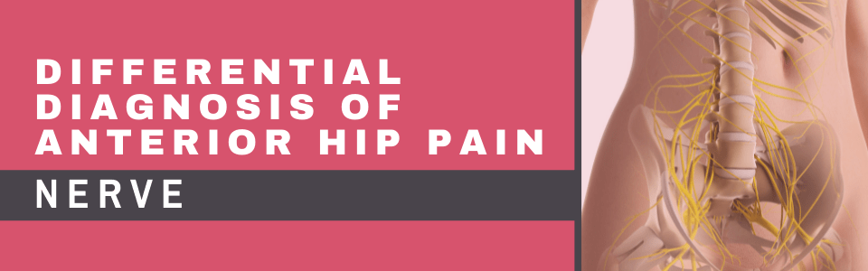 Differential Diagnosis of Anterior Hip Pain_Nerve_Blog Banner Differential Diagnosis of Anterior Hip Pain_Nerve_Blog Banner