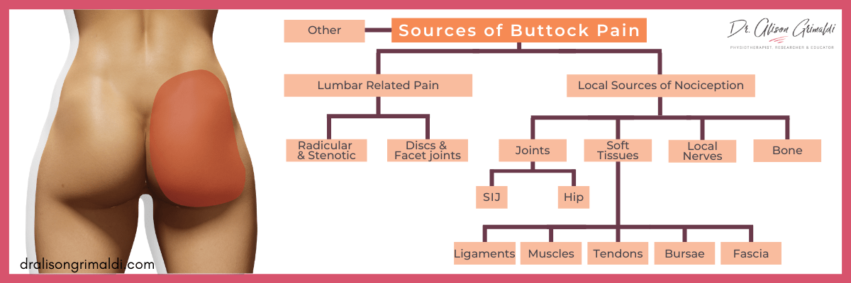 Dr-Alison-Grimaldi-Blog-Graphic-Sources-of-Buttock-Pain Dr-Alison-Grimaldi-Blog-Graphic-Sources-of-Buttock-Pain