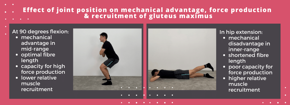 Effects of joint position on gluteal activity_infographic Effects of joint position on gluteal activity_infographic