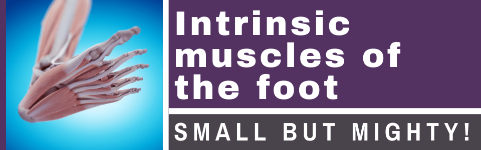 Intrinsic-muscles-of-the-foot-small-but-mighty Intrinsic-muscles-of-the-foot-small-but-mighty