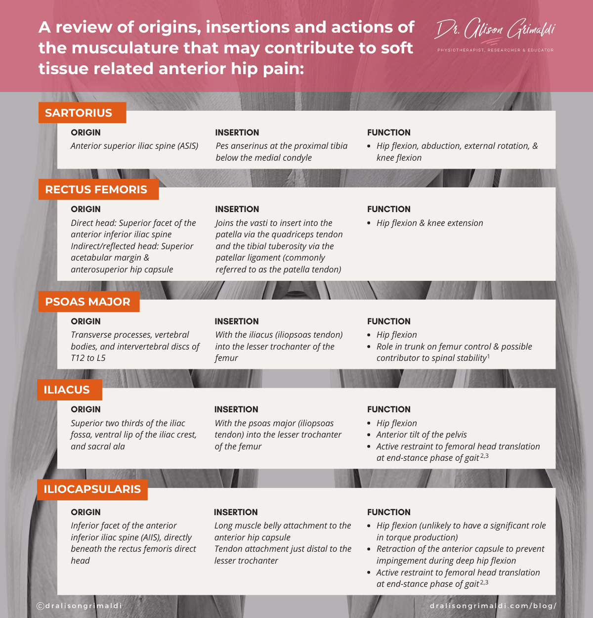Table_for_soft_tissue_related_anterior_hip_pain_blog
